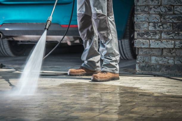 Best Roof Washing  in Carrollwood, FL