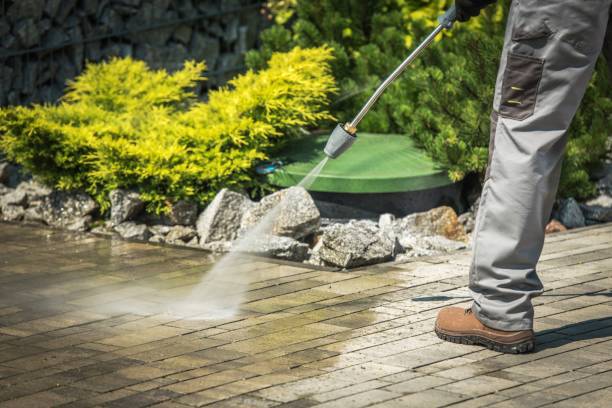 Best Restaurant Pressure Washing  in Carrollwood, FL