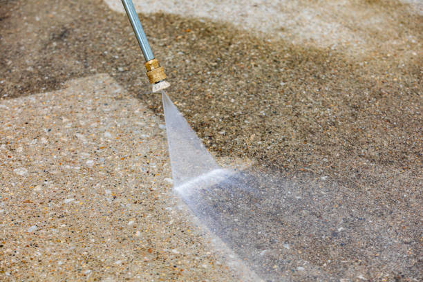Best Boat and Dock Cleaning  in Carrollwood, FL