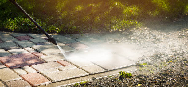 Trusted Carrollwood, FL Pressure Washing Services Experts