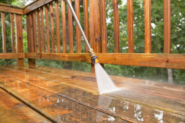 Best Building Exterior Washing  in Carrollwood, FL